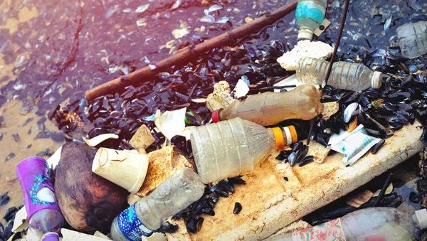 プラスチックのゴミ - Sputnik 日本