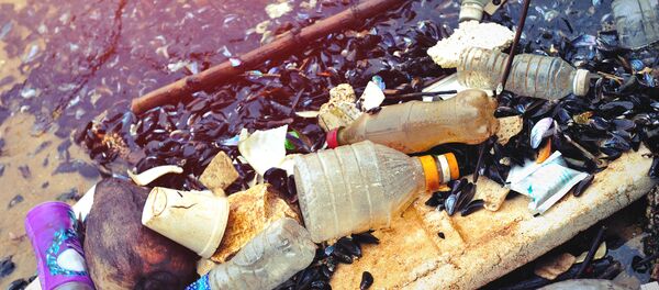 プラスチックのゴミ プラスチックのゴミ - Sputnik 日本