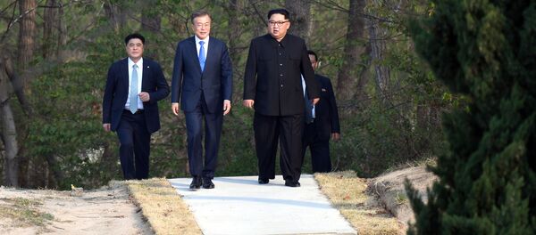 南北首脳会談 - Sputnik 日本