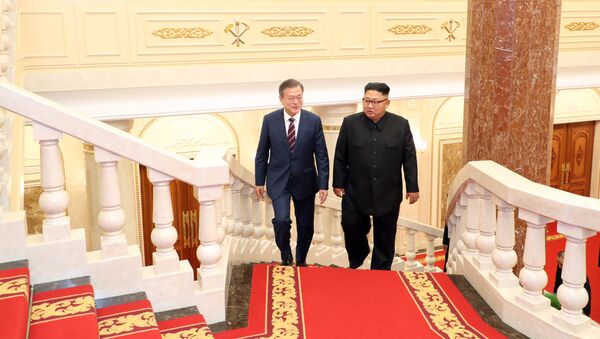 文大統領、金正恩氏が近いうちに韓国を訪問すると発表 - Sputnik 日本