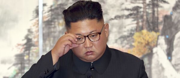 金委員長、成果ある米朝首脳会談に向け努力を傾けると明言 金委員長、成果ある米朝首脳会談に向け努力を傾けると明言 - Sputnik 日本
