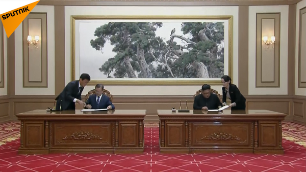 南北両国が接近　北朝鮮と韓国首脳が軍事面で合意 - Sputnik 日本