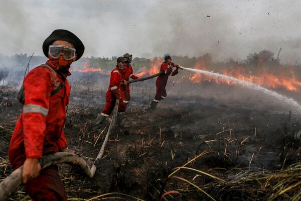 インドネシアの野原で火を消す消防隊員ら - Sputnik 日本