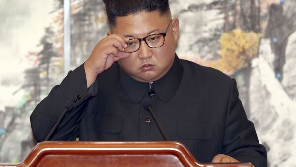 Лидер КНДР Ким Чен Ын во время подписания совместного соглашения с президентом Южной Кореи, Пхеньян - Sputnik 日本
