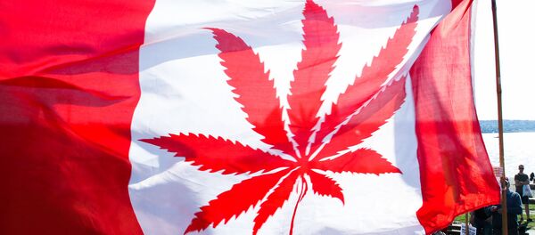 La bandera de Canadá con la imagen de canábis en vez de una hoja de arce (imagen referencial) - Sputnik 日本