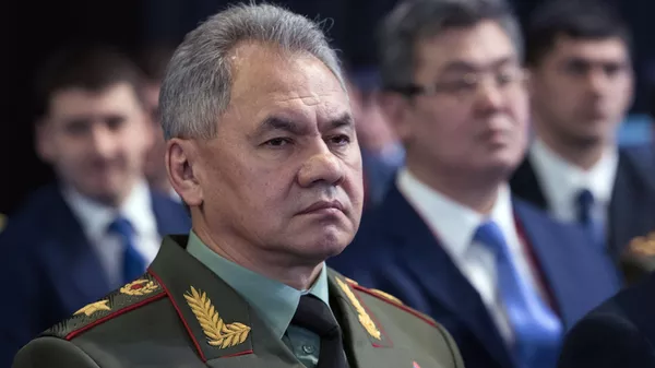 ロシア国防相のセルゲイ・ショイグ陸軍大将 - Sputnik 日本