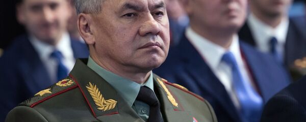 ロシアはシリア施設を攻撃する軍用機に地中海上で電波妨害を行っていく　ショイグ露国防相 - Sputnik 日本