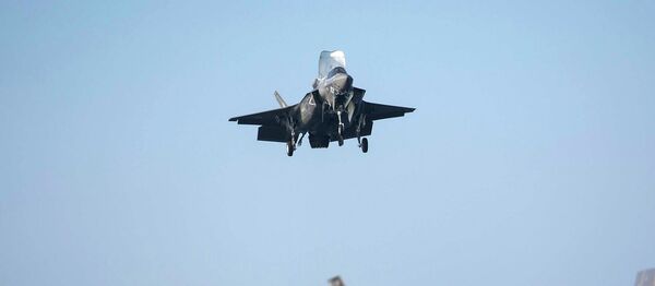 El caza F-35B El caza F-35B - Sputnik 日本