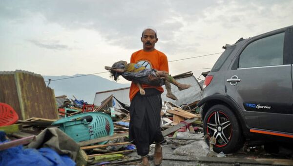 スラウェシ島地震　津波警報を解除の気象気候物理庁長官に辞任要求　インドネシア - Sputnik 日本
