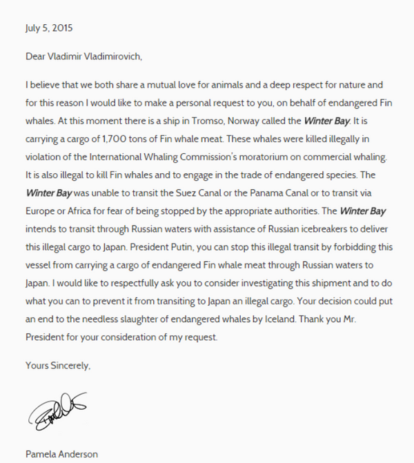 米女優パメラ・アンダーソンさん、プーチン大統領に公開書簡、「日本への鯨肉積載船を止めて!」 米女優パメラ・アンダーソンさん、プーチン大統領に公開書簡、「日本への鯨肉積載船を止めて!」 - Sputnik 日本