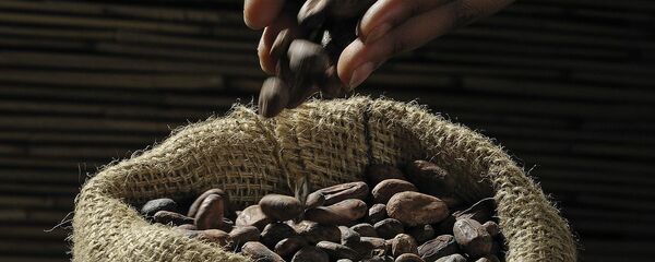 カカオ カカオ - Sputnik 日本