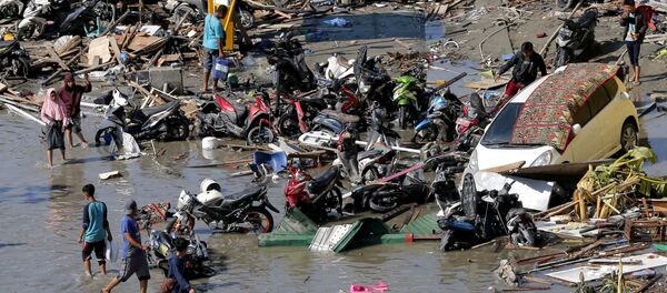 インドネシアの被災地を衛星動画で - Sputnik 日本