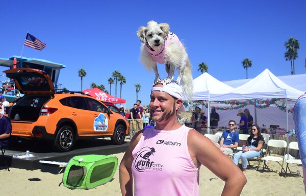 毎年開催されるドック・サーフィン大会「Surf City Surf Dog」　米国　カリフォルニア州 - Sputnik 日本