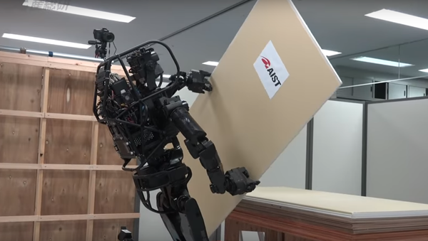 板を運び釘を打てるロボット建設労働者が出現 - Sputnik 日本