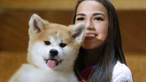 Российская фигуристка Алина Загитова с щенком акита-ину, подаренным ей японской делегацией - Sputnik 日本