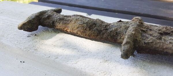 Древний меч, найденный восьмилетней девочкой Сагой Ванечек на юге Швеции Древний меч, найденный восьмилетней девочкой Сагой Ванечек на юге Швеции - Sputnik 日本