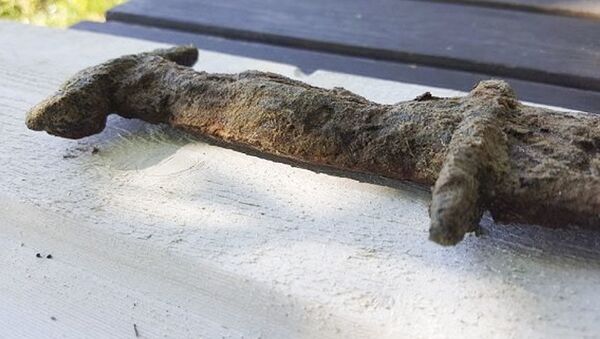 Древний меч, найденный восьмилетней девочкой Сагой Ванечек на юге Швеции - Sputnik 日本