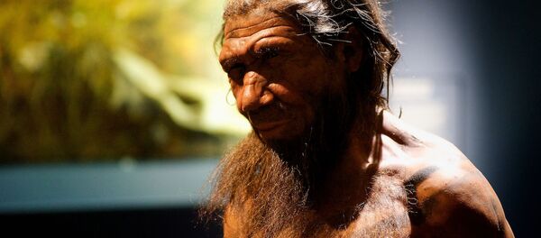Неандерталец Неандерталец - Sputnik 日本