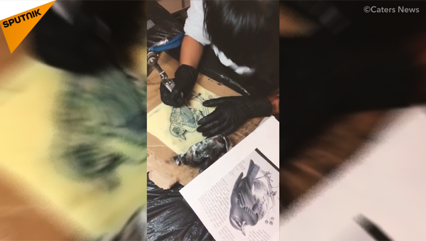 日本人の９歳の少女がタトゥー職人になり、鳥からインスピレーションを得る - Sputnik 日本
