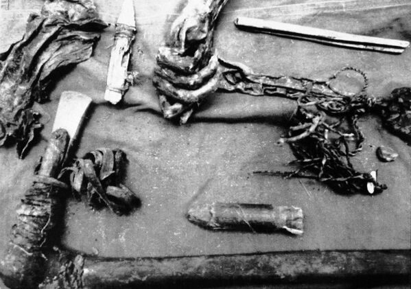 凍結した遺体と一緒に見つかった武器。オーストリア・アルプス山脈 - Sputnik 日本