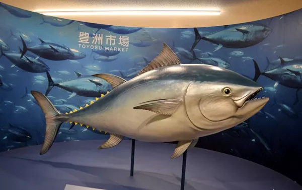 豊洲新市場 豊洲新市場 - Sputnik 日本