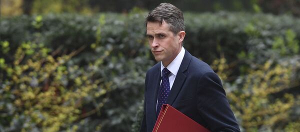 ウィリアムソン英国防相 ウィリアムソン英国防相 - Sputnik 日本