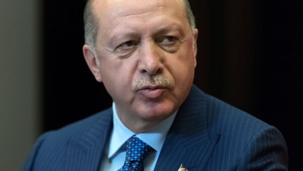 トルコ大統領　米国はインディアン大虐殺を認めよ - Sputnik 日本