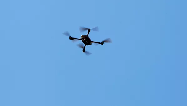 無人機（アーカイブ写真） - Sputnik 日本