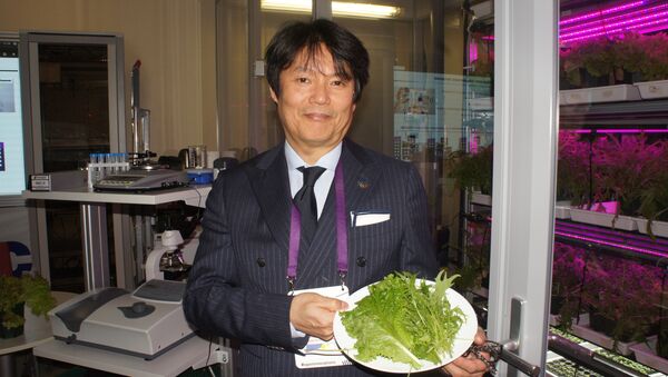 パナソニック、ロシアで野菜工場の実験を公開：美味しくて栄養満点の工場レタス - Sputnik 日本