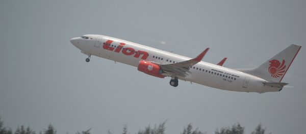 Boeing 737/8 of Lion Air at Singapore Changi-SIN,13/10/14.(Archive) - Sputnik 日本