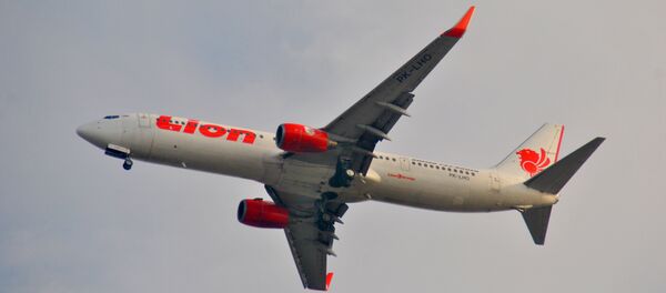 ライオン・エアのボーイング737Max型機（アーカイブ写真） - Sputnik 日本