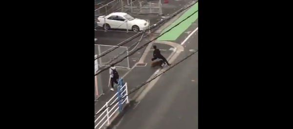 日本で会社員の男性が通勤中にイノシシに襲われる 日本で会社員の男性が通勤中にイノシシに襲われる - Sputnik 日本