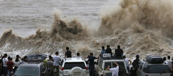 大型台風 - Sputnik 日本