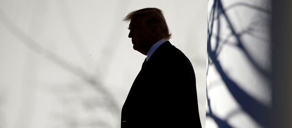 トランプ大統領、イラクを電撃訪問　兵士を前にした演説で、一部政府機関の長期閉鎖への準備はできていると語る - Sputnik 日本