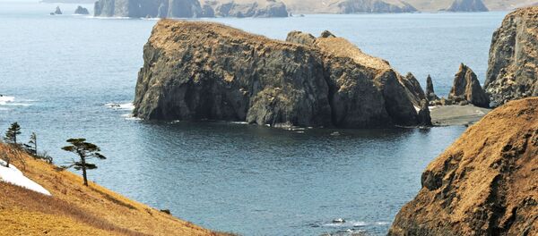 クリル諸島で初の感染例 クリル諸島で初の感染例 - Sputnik 日本