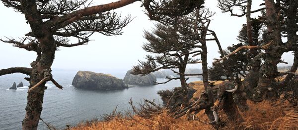日本政府、クリル諸島の賠償請求放棄案 ロシアとの平和条約交渉 日本政府、クリル諸島の賠償請求放棄案 ロシアとの平和条約交渉 - Sputnik 日本