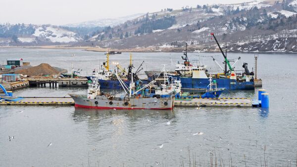日本　ロシアとの漁業協議の実現を推し進める - Sputnik 日本