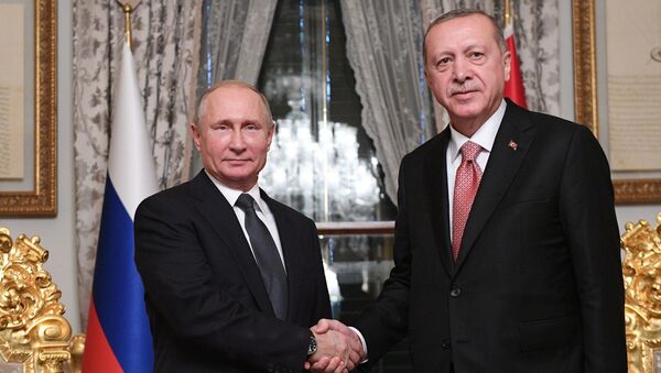 ウラジーミル・プーチン露大統領とトルコのエルドアン大統領 - Sputnik 日本