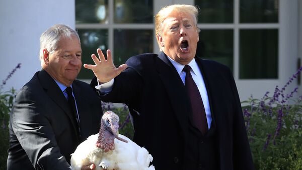 感謝祭の日にホワイトハウス前の庭で七面鳥に「恩赦」を与えたトランプ米大統領 - Sputnik 日本