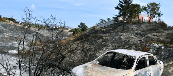 カリフォルニア火災 カリフォルニア火災 - Sputnik 日本