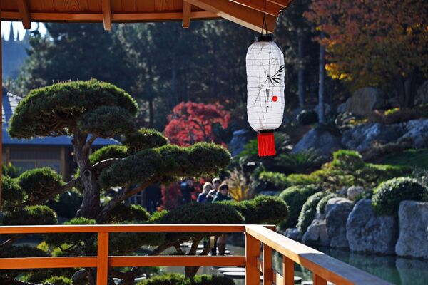 クリミアで日本庭園が開園 - Sputnik 日本