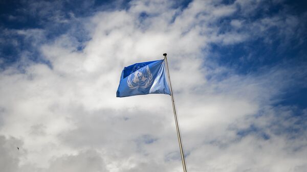 国連 の旗 - Sputnik 日本