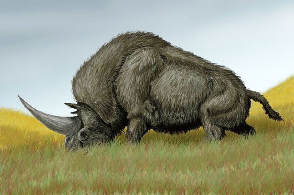 「シベリアのユニコーン」(イメージ) 「シベリアのユニコーン」(イメージ) - Sputnik 日本