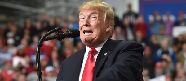 US-Präsident Donald Trump US-Präsident Donald Trump - Sputnik 日本