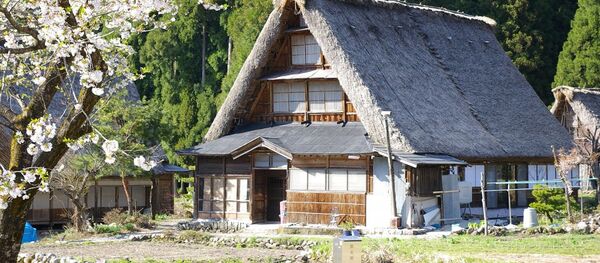 日露円卓会議「小さな故郷」開催:モスクワの有名な猫劇場の創設者、日本への愛を語る 日露円卓会議「小さな故郷」開催:モスクワの有名な猫劇場の創設者、日本への愛を語る - Sputnik 日本