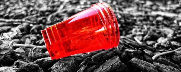 国連 使い捨てプラスチック容器の使用の完全廃止を目指す 国連 使い捨てプラスチック容器の使用の完全廃止を目指す - Sputnik 日本