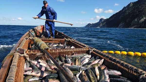 クナシル島（国後島）沿岸のオホーツク海でサケを獲る漁師 - Sputnik 日本