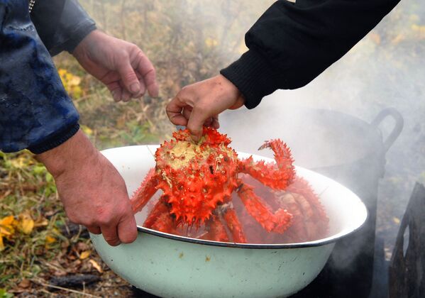 焚火でカニを調理するシコタン島の住民 - Sputnik 日本