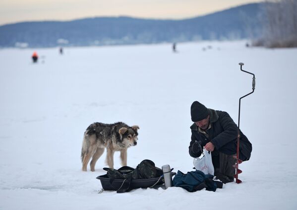 自分の飼い犬と一緒に釣りの成果を確かめる釣り人 - Sputnik 日本