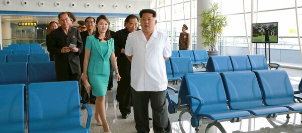 平壌の新空港 平壌の新空港 - Sputnik 日本